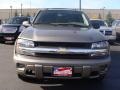 Graystone Metallic - TrailBlazer LS 4x4 Photo No. 2