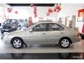 Molten Silver - Sentra GXE Photo No. 3