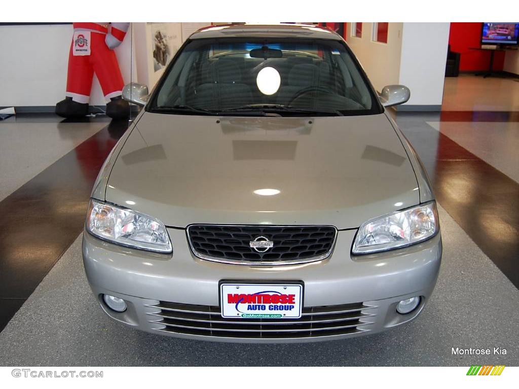 2002 Sentra GXE - Molten Silver / Stone photo #10