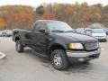 1999 Black Ford F250 Super Duty XLT Regular Cab 4x4  photo #5