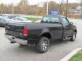 Black - F250 Super Duty XLT Regular Cab 4x4 Photo No. 6