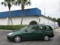 Rainforest Green Metallic - Focus SE Wagon Photo No. 6