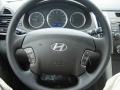 2010 Ebony Black Hyundai Sonata GLS  photo #14
