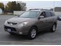 2010 Driftwood Metallic Hyundai Veracruz GLS AWD  photo #7