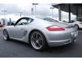 Arctic Silver Metallic - Cayman S Photo No. 7