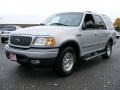 Silver Metallic - Expedition XLT Photo No. 1