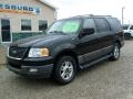 2003 Black Clearcoat Ford Expedition XLT 4x4  photo #1