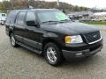 2003 Black Clearcoat Ford Expedition XLT 4x4  photo #7