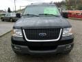 2003 Black Clearcoat Ford Expedition XLT 4x4  photo #8