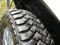 2006 Silver Birch Metallic GMC Sierra 1500 Z71 Regular Cab 4x4  photo #10