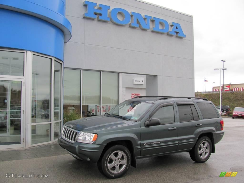 2004 Grand Cherokee Limited 4x4 - Onyx Green Pearl / Taupe photo #1