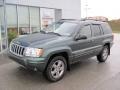 2004 Onyx Green Pearl Jeep Grand Cherokee Limited 4x4  photo #2