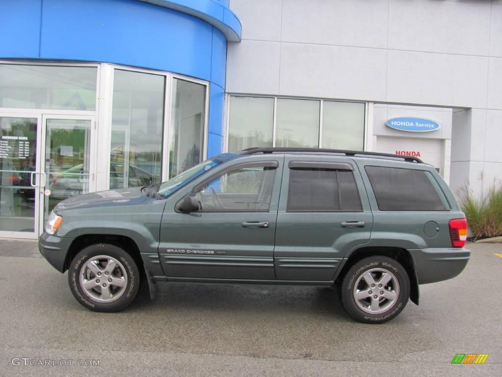 2004 Grand Cherokee Limited 4x4 - Onyx Green Pearl / Taupe photo #3