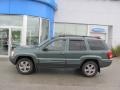 2004 Onyx Green Pearl Jeep Grand Cherokee Limited 4x4  photo #3