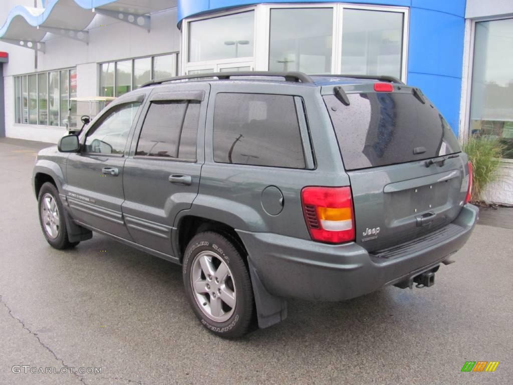 2004 Grand Cherokee Limited 4x4 - Onyx Green Pearl / Taupe photo #4