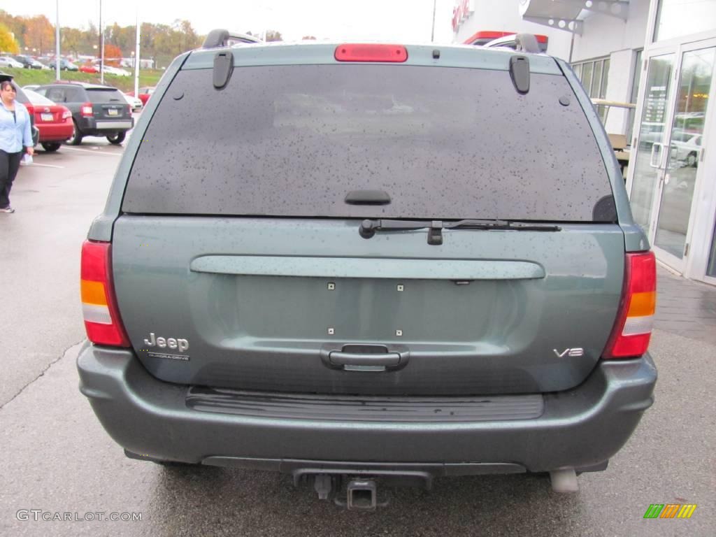 2004 Grand Cherokee Limited 4x4 - Onyx Green Pearl / Taupe photo #5