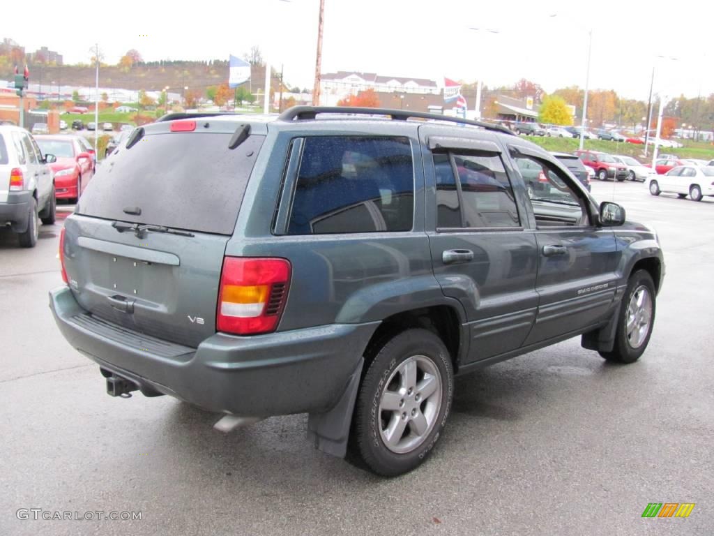 2004 Grand Cherokee Limited 4x4 - Onyx Green Pearl / Taupe photo #6
