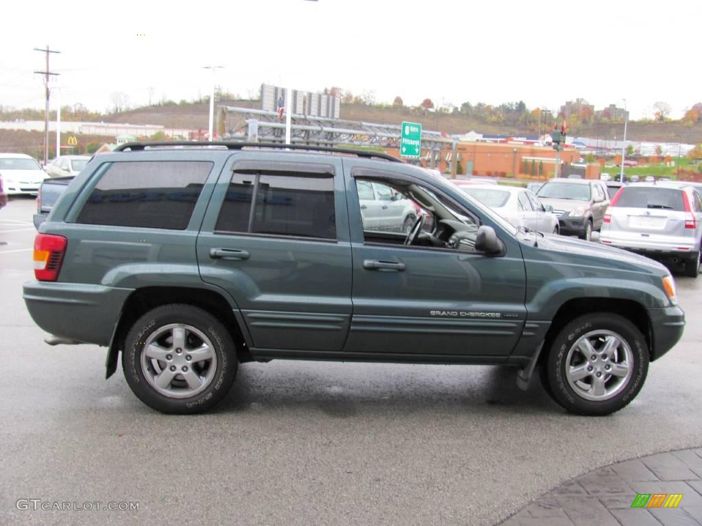 2004 Grand Cherokee Limited 4x4 - Onyx Green Pearl / Taupe photo #7