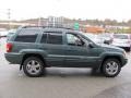 2004 Onyx Green Pearl Jeep Grand Cherokee Limited 4x4  photo #7