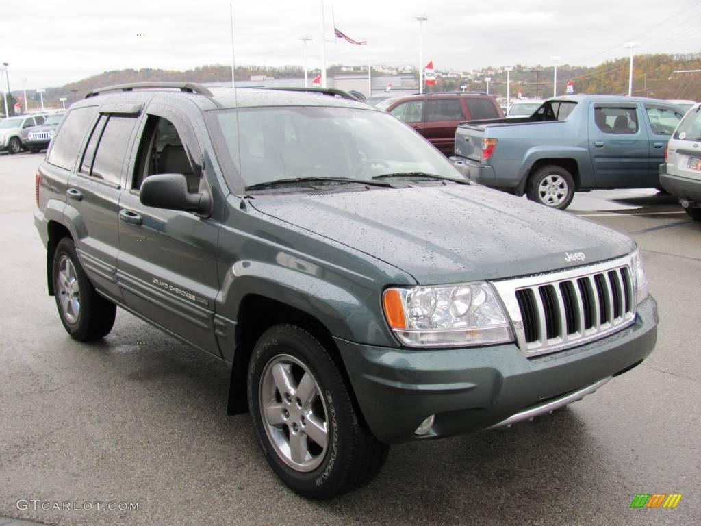 2004 Grand Cherokee Limited 4x4 - Onyx Green Pearl / Taupe photo #8