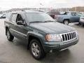 2004 Onyx Green Pearl Jeep Grand Cherokee Limited 4x4  photo #8