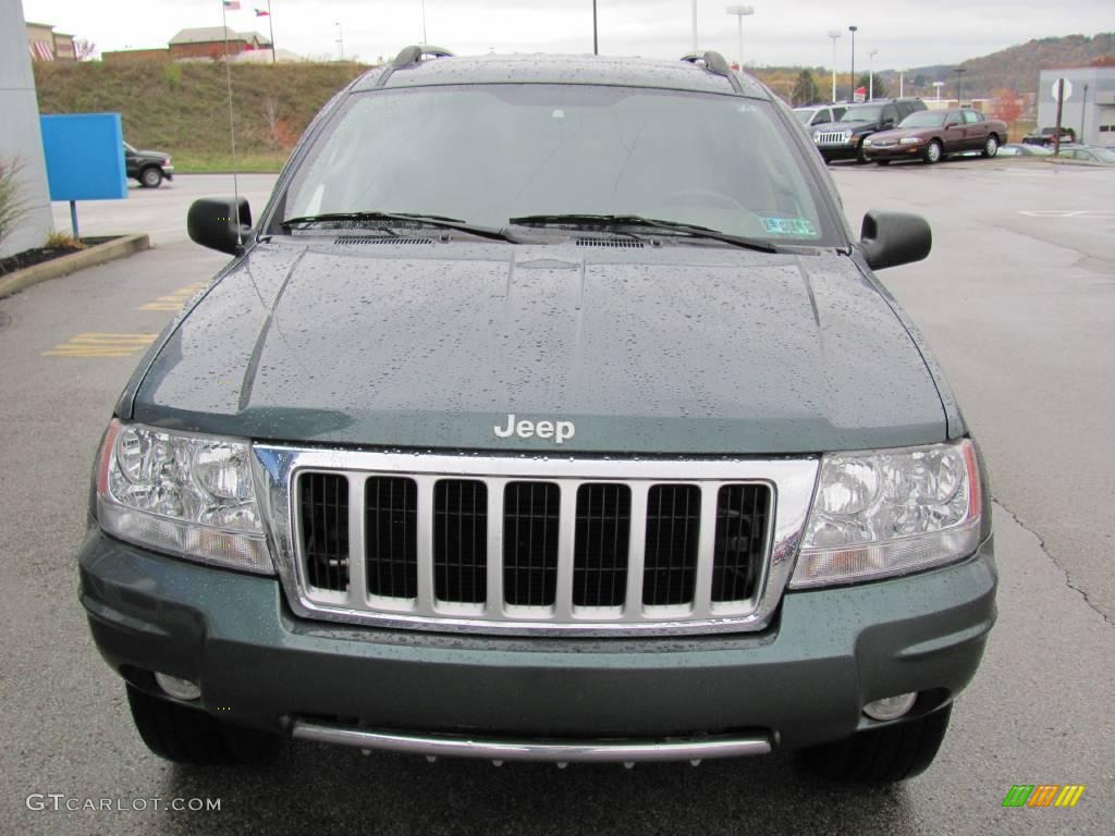 2004 Grand Cherokee Limited 4x4 - Onyx Green Pearl / Taupe photo #9