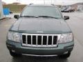 2004 Onyx Green Pearl Jeep Grand Cherokee Limited 4x4  photo #9