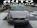 Flint Gray Metallic - S40 2.4i Photo No. 2