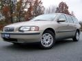 Ash Gold Metallic - V70 2.4 Photo No. 5