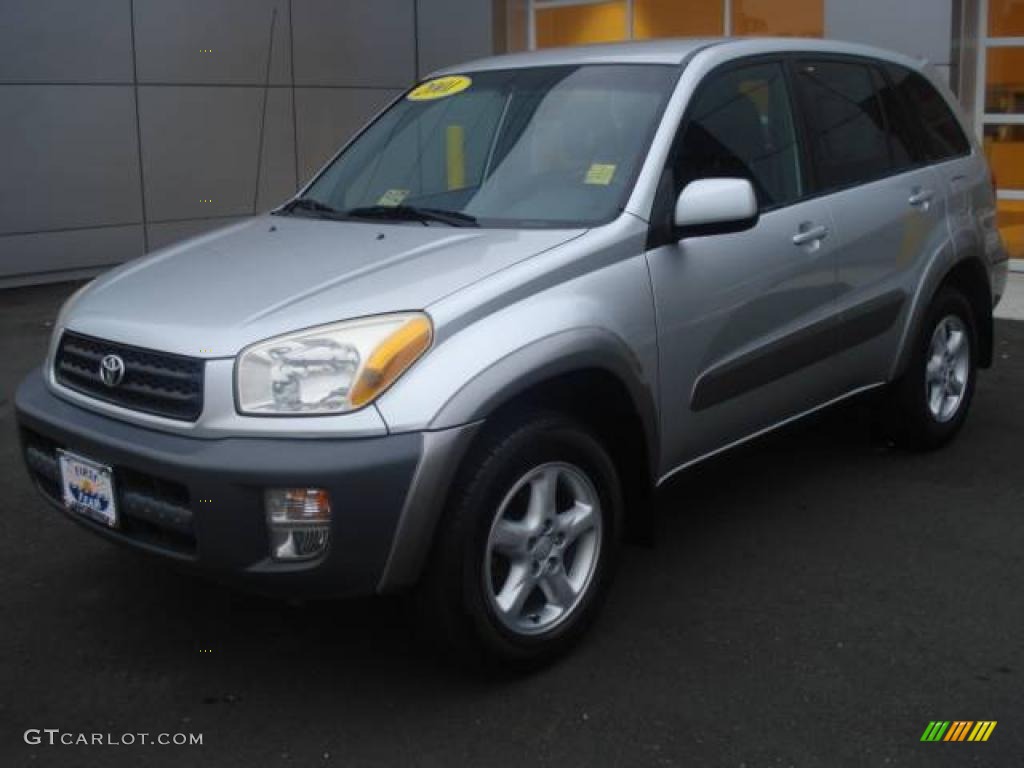 2001 RAV4 4WD - Titanium / Gray photo #1