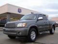 Phantom Gray Pearl 2004 Toyota Tundra SR5 Access Cab
