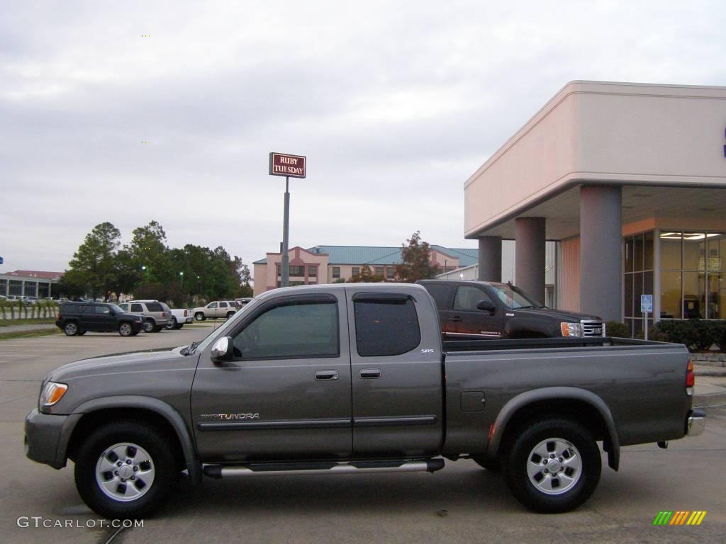 2004 Tundra SR5 Access Cab - Phantom Gray Pearl / Gray photo #2