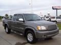 Phantom Gray Pearl - Tundra SR5 Access Cab Photo No. 7