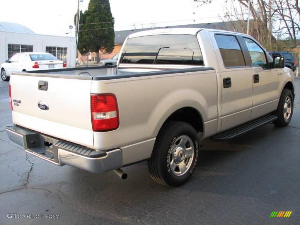 2006 F150 XLT SuperCrew - Silver Metallic / Medium/Dark Flint photo #5
