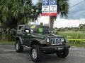 Jeep Green Metallic - Wrangler Sahara 4x4 Photo No. 1
