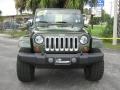 Jeep Green Metallic - Wrangler Sahara 4x4 Photo No. 8