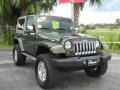 Jeep Green Metallic - Wrangler Sahara 4x4 Photo No. 9