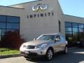 2008 Scarlet Silver Infiniti EX 35 AWD  photo #1