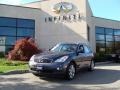 2008 Blue Slate Infiniti EX 35 AWD  photo #1