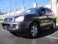 Black Obsidian 2002 Hyundai Santa Fe LX AWD