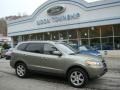 2009 Natural Khaki Hyundai Santa Fe Limited  photo #1