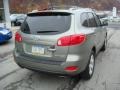 2009 Natural Khaki Hyundai Santa Fe Limited  photo #2