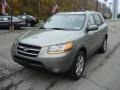 2009 Natural Khaki Hyundai Santa Fe Limited  photo #5