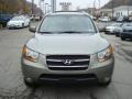 2009 Natural Khaki Hyundai Santa Fe Limited  photo #6