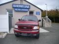Laser Red 2002 Ford Expedition XLT 4x4