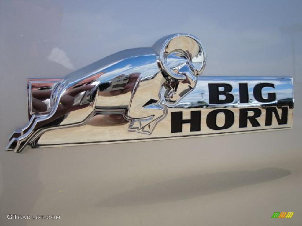 2010 Ram 1500 Big Horn Quad Cab - Bright Silver Metallic / Dark Slate/Medium Graystone photo #10