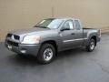 Granite Gray - Raider LS Extended Cab Photo No. 2
