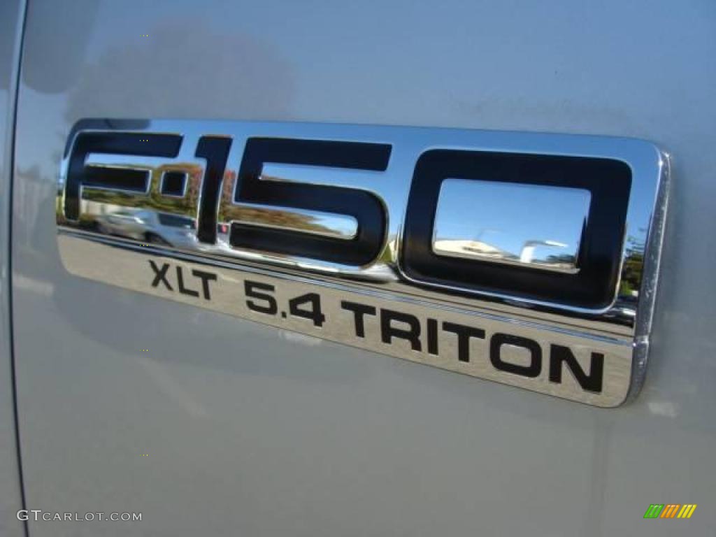 2006 F150 XLT SuperCrew 4x4 - Silver Metallic / Medium/Dark Flint photo #20