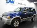 2007 Vista Blue Metallic Ford Escape XLT V6 4WD  photo #2