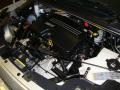 Silverstone Metallic - Uplander LS Photo No. 21